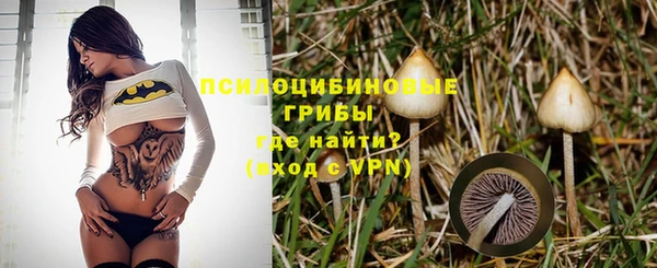 mdpv Беломорск