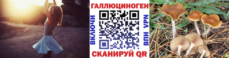 Псилоцибиновые грибы Psilocybe  Кондопога 